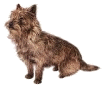 toto7-fs-tn.gif (5171 bytes)
